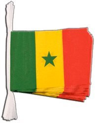 Digni Guirlande 15 Drapeaux Sénégal - 5,9 m Sticker Gratuit