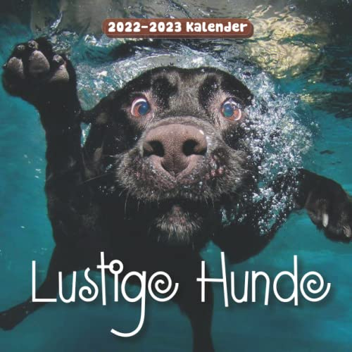 Lustige Hunde Kalender: Kalender 2022 2023 - 8.5x8.5 inches - Geschenke für Familie und Freunde