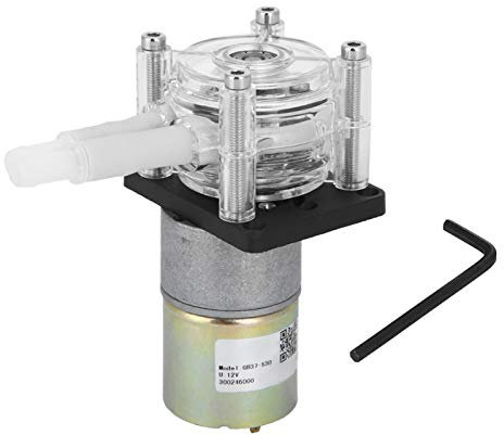 JMorCO Gleichstrommotor mit transparentem Kopf, selbstansaugender Radrahmen aus Edelstahl, PC-Gleichstrommotor mit transparentem Kopf(12V)