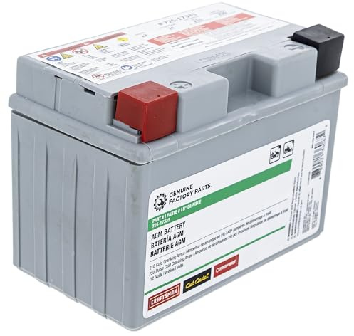 CUB CADET 490-280-F017 Battery 210cca 11AHR Ultima ZT1 ZT2 ZTS1 ZTS2 ZTX4 ZTX5 ZTX6 725P17335