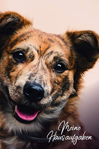 Meine Hausaufgaben: Hausaufgabenheft Hund für Schule Grundschule - Hausaufgabenheft mit Wochenübersicht, 2 Stundenplänen und Notenübersicht / DIN A5