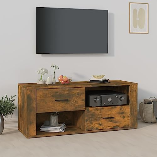 Armoire de rangement moderne pour salon, bibliothèque, meuble TV, chêne fumé, 100 x 35 x 40 cm, pour salon, chambre à coucher, etc