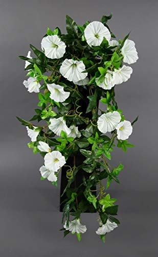 Seidenblumen Roß Petunienranke 65cm weiß ZF Kunstpflanzen künstliche Petunie Pflanzen Blumen Kunstblumen Petunienhänger