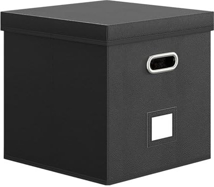 Ziennhu - Caja de almacenamiento para dibujos animados, caja protectora para vinilo impermeable y apilable con tapa, para almacenamiento y transporte de discos y objetos