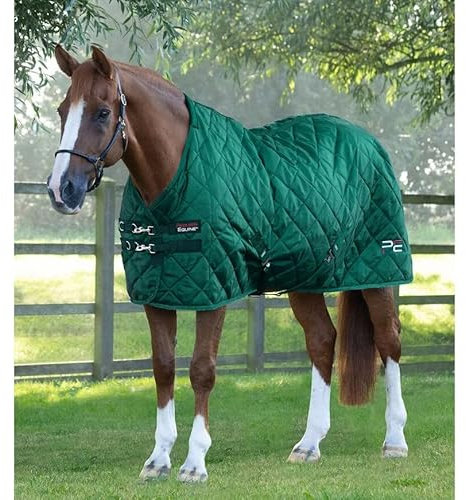 Premier Equine Coperta da stalla per Cavalli Tuscan 200 g