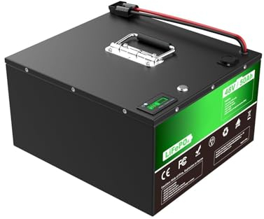 WILLQ LifePo4 Lithium-Akku, 48 V, 50 Ah, wiederaufladbarer Ersatzakku für 2000 W Motorrad/Wohnmobil-Solarenergie/Heim-Energiespeicher-Backup-Batterie