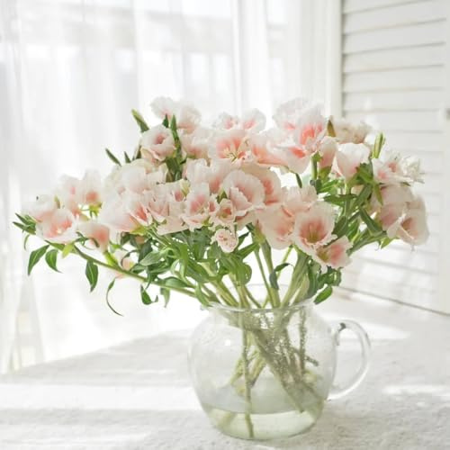 semillas de azalea de verano, ornamentales decoración azalea verano raras, decoración sala estar, jardín rocas resistentes jardín, 250pcs