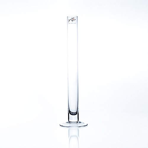 Sandra Rich Reagenzglas, Glasvase SOLIFLEUR mit Fuss H. 30cm D. 3cm rund klar