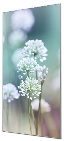 banjado Glas Magnettafel (60 x 120cm) - Magnetwand Glas - Magnetpinnwand als Memoboard - Pinnwand Magnettafel Küche, Büro, Kinderzimmer - Lauchblüte