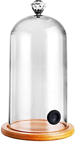 Cuffia per campana in plastica molecolare da cucina per alimenti con fori in gomma, base in legno, per cocktail, torte, bevande, campana in vetro