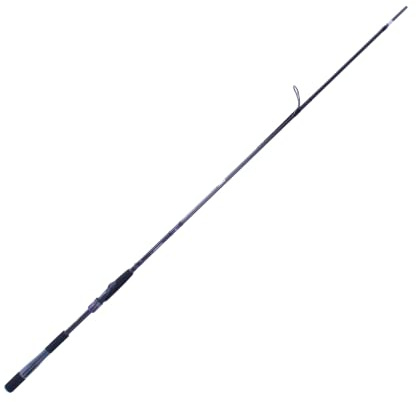 DAIWA Prorex Canne à pêche AGS JIGGER 2,70 m 7-28 g