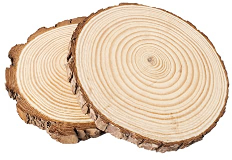 Taekooki 2 Stücke Holzscheiben, Holzscheiben 18-20cm Durchmesser, Baumscheiben aus echtem Holz mit Rinde, Runde Holzdeko Baumstamm Scheiben, zum Basteln, Schlichte Holzplatten als robuste Untersetzer