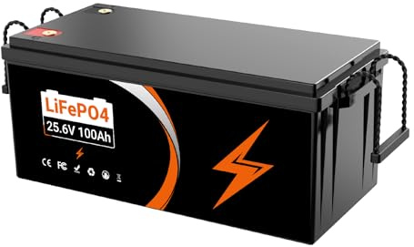Lifepo4 batteria 24V 100AH, batteria al litio ferro fosfato, 5000 cicli di vita, Perfetta per RV, Motore Elettrico, Energetico Domestico e Off Grid