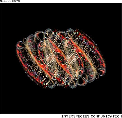 Interspecies Communication