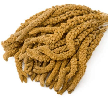 Eurital französische Kolbenhirse 5 kg gelb -handverlesen - für Kanarien, Wellensittiche, Vögel