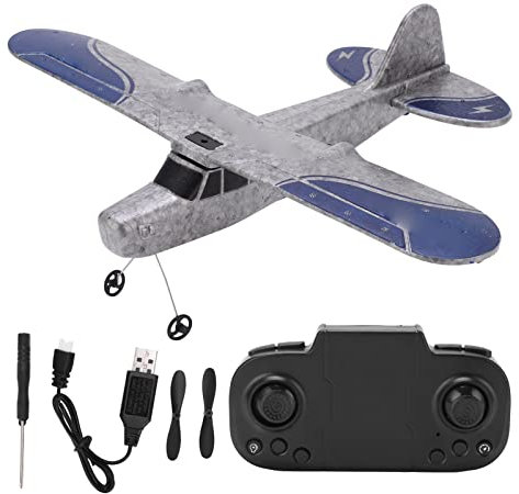BuyWeek RC Flugzeug, TY9 2,4 GHz 2 Kanal Ferngesteuertes Flugzeug Starrflügel RC Flugzeug EPP Schaum Ferngesteuertes Segelflugzeug für Erwachsene Kinder Anfänger