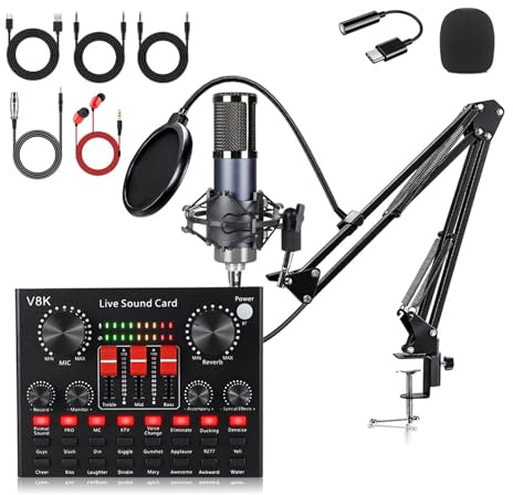 Zkydhbd Set di schede audio professionali per microfono a condensatore con porta di tipo C trasparente per scheda di trasmissione podcasting