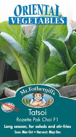 Mr Fothergills - Pictorial Packet - Vegetable - Tatsoi Rozetto Pak Choi F1-150 Seeds