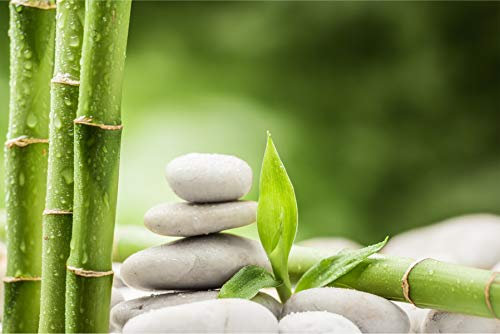 Muralo Fotomural autoadhesivo 270 x 180 Zen piedras naturales de bambú tropicales exóticas para sala de estar o dormitorio, XXL pared br. 270 cm x altura 180 cm