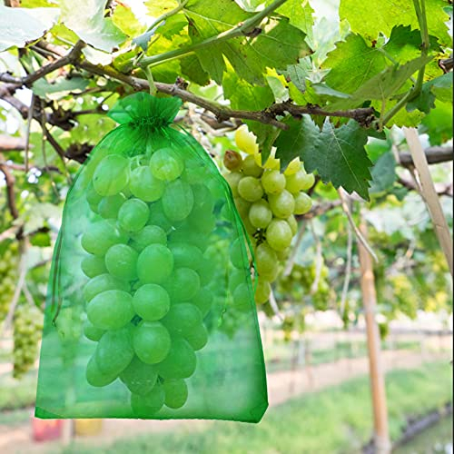 Hywean 60Pcs 20 * 30cm Bolsas para Proteger Uvas Frutales, Malla de Protección para Uvas Frutas Bolsas Organza con Cordón contra Avispas Pájaros Moscas de la Cereza y Otros Insectos