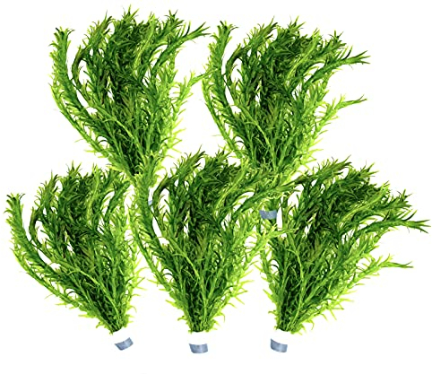 5 Bund Wasserpest, Teich Pflanze, Wasserpflanze, Elodea Densa, Aquarium Pflanze, mini Teich Daxton-Plant