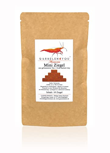 GARNELEN4YOU® Mini Ziegel | Premium Garnelen-Ziegel für Aquarien | Made in Germany | plastikfreie Verpackung | Miniatur Backstein Ziegelstein (10 Mini-Ziegel)