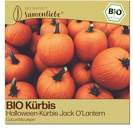 Samenliebe BIO Kürbis Samen | Halloween-Kürbis Jack O'Lantern - groß & lecker - samenfestes BIO Saatgut