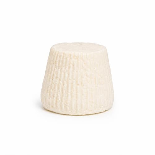 Ricottina italienne Salumi Pasini® | Ricotta salée au lait de brebis et de chèvre | 1 kg