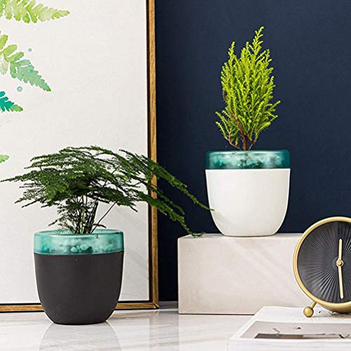 Qcwwy Fioriere, Vaso, Fioriera Autoirrigante Vasi di Violetta Africana Vaso di Fiori Automatico Fioriera di Design a Doppio Strato per Ufficio Giardinaggio Domestico Bianco Mini