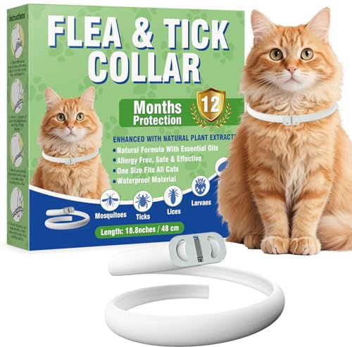 Collare Antiparassitario per Catti, Collar Antipulgas y Garrapatas Ajustable, Gregado con Aceites Naturales, Impermeable, Apto Para Todos Los Gatos,12 Meses de Protección (1 Pack)