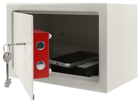 ACXIN Caja fuerte para muebles con llave, caja fuerte de pared con 2 llaves y tornillos de fijación, caja fuerte de pared de acero con cerradura doble (31 x 20 x 20 cm, plateado)