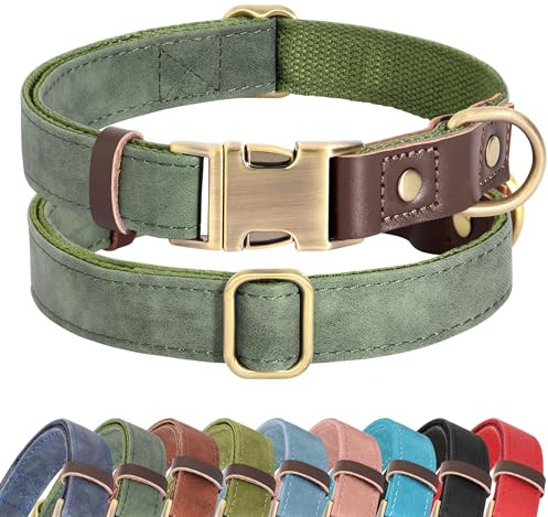 Didog Weiches gepolstertes Lederhalsband für große Hunde, klassisches Hundehalsband mit Metall-Schnellverschluss, verstellbar, großformatig, Kunstleder, Grün, L