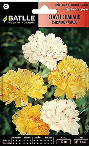Semillas Batlle Clavel Chabaud ESTRIADOS VDO.