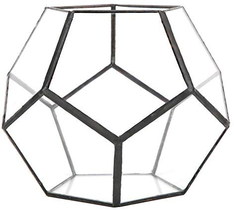 HERCHR Glas Terranium Pflanzer Luft Fleischfressende Sukkulenten Pflanzen Blumentopf FüR Erwachsene Live Moss Geometric Landscape Decoration