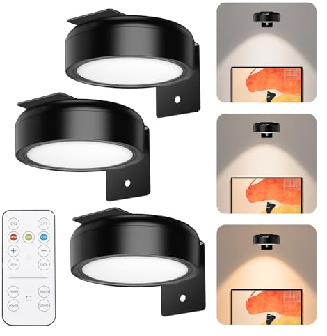 OQIMAX Bildbeleuchtung mit Fernbedienung, 3 Stück Wiederaufladbare Bilderleuchte, Magnetisches LED Wandlampe mit 3 Farbtemperaturen, 5 Helligkeit Einstellbar & Timer-Funktion Dimmbar, Touchsteuerung