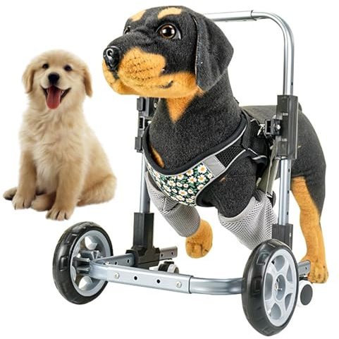 Hunde-Rollstuhl für behinderte Haustiere, volle Unterstützung der Vorderbeine, Mobilitätshilfe, Gehwagen mit verstellbarem Rahmen, für kleine bis mittelgroße Hunde