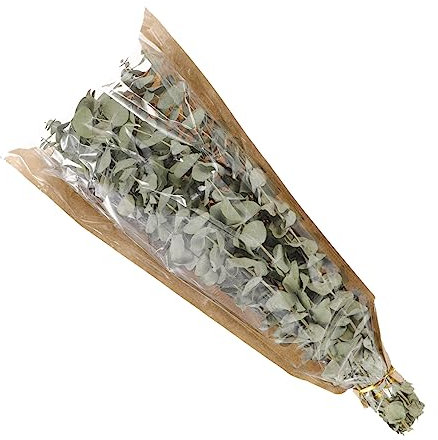 RORPOIR Getrockneter Eukalyptus & Lavendel – Elegantes Badezimmer-Accessoire