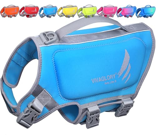 VIVAGLORY Gilet da Nuoto Leggero per Cani, Giubbotto Salva Vita in Neoprene Ecocompatibile con D-Ring e Chiusura Rapida per Maggiore Comfort e Sicurezza, Blu
