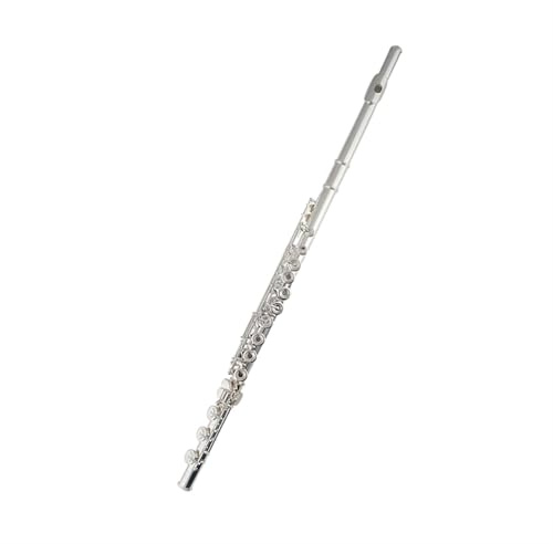 Flûte Traversière Débutant Flûte À Tête Tubulaire En Argent Sterling À 16 Trous Et 17 Trous Clé Française Flûte Professionnelle Pour Débutant En Cuivre Blanc Plaqué Argent(17 hole)