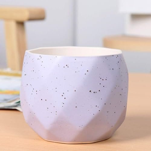 SBCGFY Vaso da fiori per piante grasse, fresco, creativo, in ceramica, colorato, colorato, mini vaso per piante colorate, fatto a mano, per giardino, casa, ufficio, decorazione, bella scena, viola