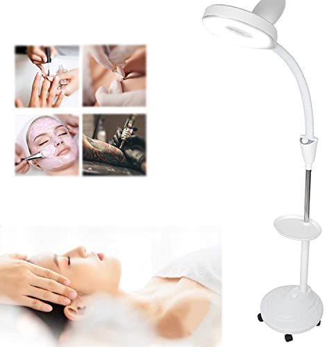 UYCVT Adjustable 8X Magnifying Glass Floor Lamp, Semi-Permanent Tattoo Beauty Lamp, Floor Cold Light Magnifier Lamp, for Tattoo Skincare Beauty Manicure Salon