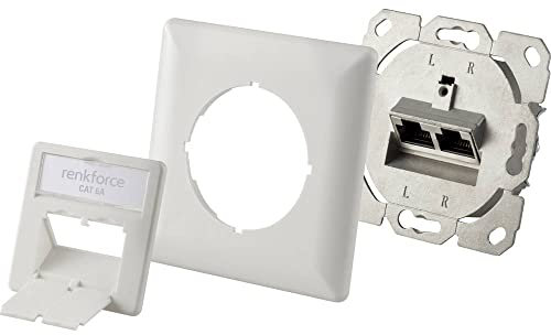 Renkforce Prise réseau encastré insert avec plaque centrale et châssis CAT 6a 2 ports blanc