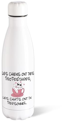 Bouteille d’eau Isotherme Chat Humour 500ml Acier Gourde Réutilisable Ecologique Maintien Chaud/Froid 12h. Idée Cadeau Original Amie Homme Femme Sport Voyage Bureau Anniversaire Noël