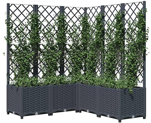 Keketa Garten Pflanzkasten mit Rankhilfe Außeneingang Balkon Terrasse Hochbeet Blumenkasten Klettern SuPolypropyleneort Pflanztopf Dunkelgrau 120x120x136 cm PP
