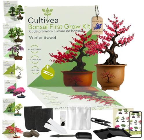 CULTIVEA® Bonsai Startkit Cercis Chinensis – Odla Själv med Frön & Tillbehör – Presentidé Trädgård | Tillverkad i Frankrike (Wintersweet)