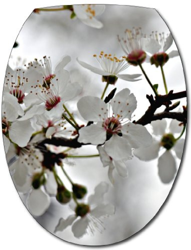 Stickers WC Fleurs cerisier - Stickers autocollant abattant WC 35x42 cm - 254