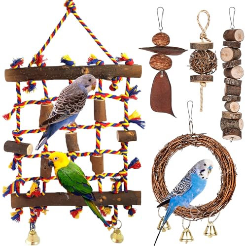 Vogelspielzeug, Papageienspielzeug, Vogel Seil Kletternetz mit 4 Papagei Kauspielzeug, Kletterspielzeug für Vögel, Sitzstangen für Vögel, Vogelkäfig Zubehör für Finken Wellensittich Liebesvögel