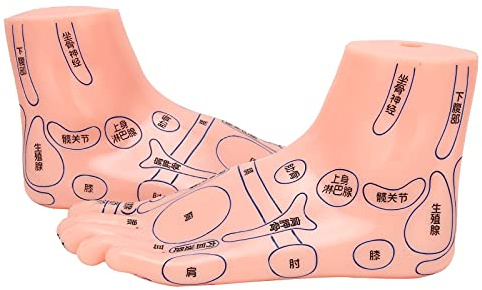 Modelo de Punto de Acupuntura de Pies humanos: Modelo de Masaje de Punto de Acupuntura de Reflexología, Fuentes Grandes y Claras, Material de PVC Duradero para el Aprendizaje en
