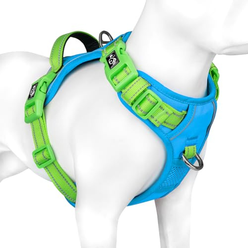 PHOEPET hundsele med anti-drag-drag – reflekterande justerbar valpsäkerhetssele för små, medelstora och stora hundar (XL, blå bas och grön bärare)