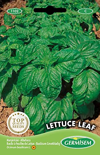 Germisem Lettuce Leaf Semi di Basilico 3 g